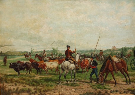 Dehesa con Toros de Lidia