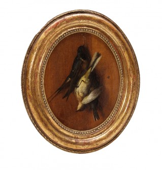 Pájaros